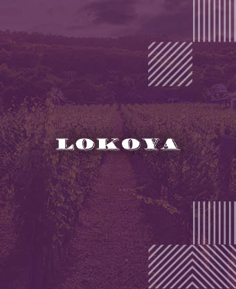 Lokoya