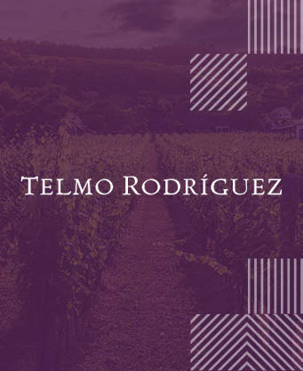 Telmo Rodriguez