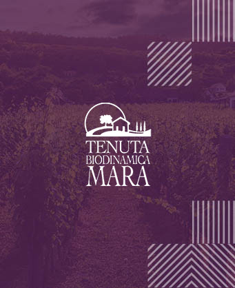 Tenuta Mara