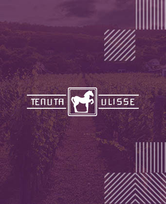 Tenuta Ulisse