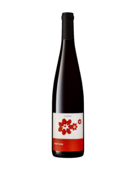 Пино Ноар, Ролан Шмит