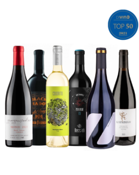 DiVino Top - 6 wines for connoisseurs