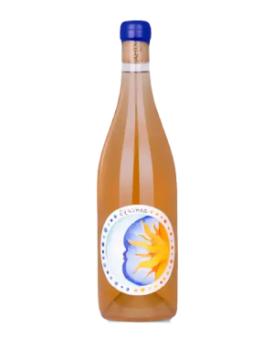 Ахинора Equinox Ориндж