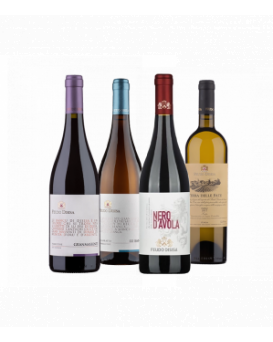4 wines from Feudo Disisa