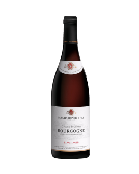 Bouchard Père et Fils Bourgogne Coteaux des Moines Rouge